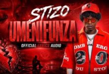 Stizo – Umenifunza