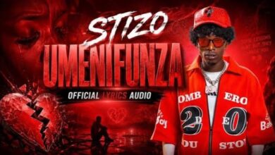 Stizo – Umenifunza