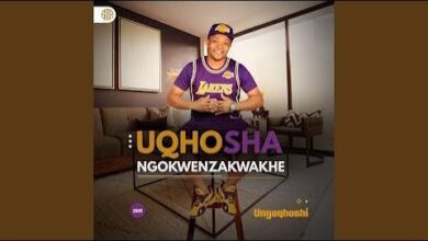 UQhoshangokwenzakwakhe – inkinga ikuwe